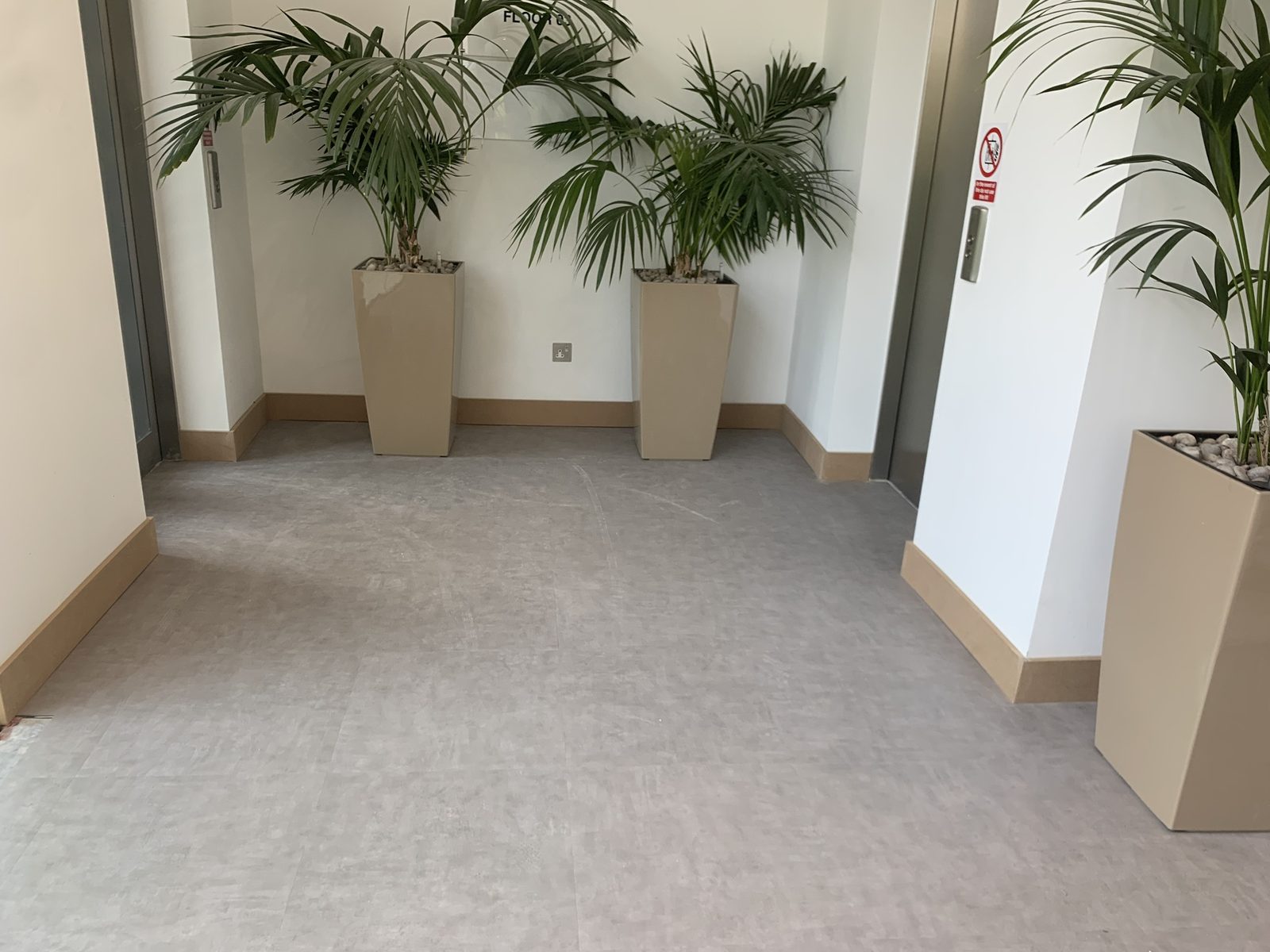 Lift lobby — new floor, skirting and planting
